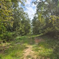 LA - Ouachita 103 acres - images 3