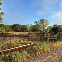 Land For Sale 30 Acres Ratliff City OK images 2