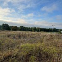 Land For Sale 30 Acres Ratliff City OK images 4