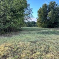 Land For Sale 30 Acres Ratliff City OK images 5