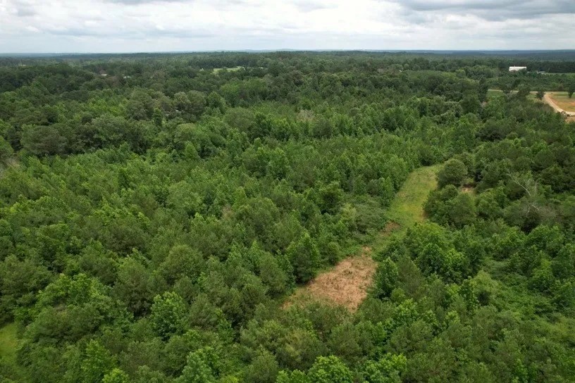 58 Acres in Smith County in Pulaski MS featured image