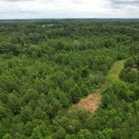 58 Acres in Smith County in Pulaski MS