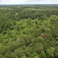 58 Acres in Smith County in Pulaski MS images 2
