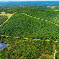 53 - Wooded Acres Hunting Land Randolph County Ravenden Arkansas