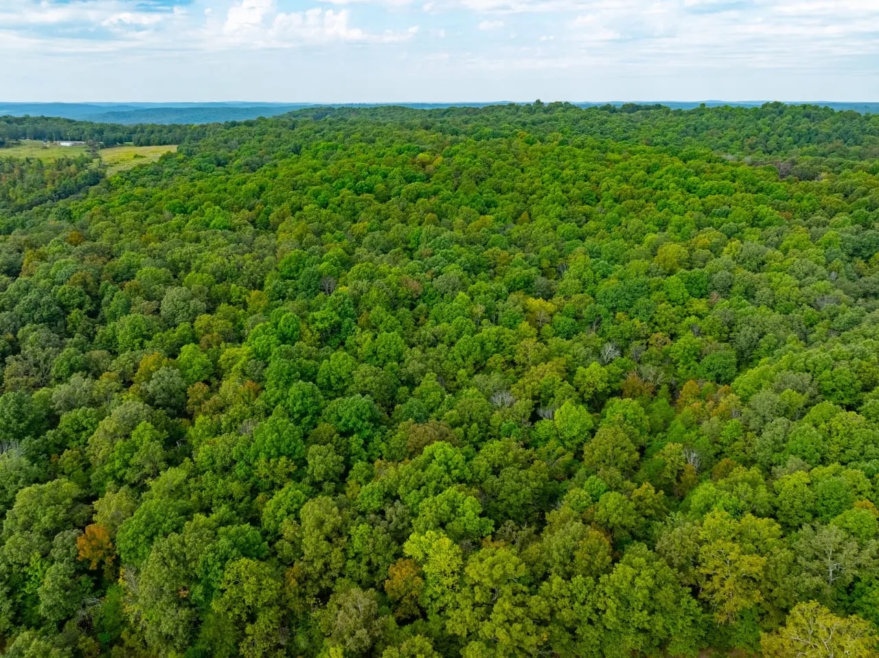 53 Wooded Acres Hunting Land Randolph County Ravenden Arkansas