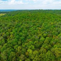 53 - Wooded Acres Hunting Land Randolph County Ravenden Arkansas images 2