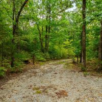 53 - Wooded Acres Hunting Land Randolph County Ravenden Arkansas images 3