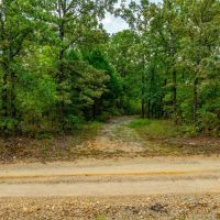 53 - Wooded Acres Hunting Land Randolph County Ravenden Arkansas images 4