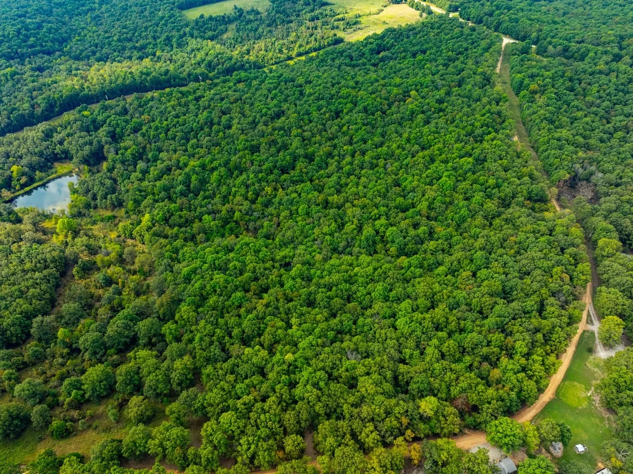 53 Wooded Acres Hunting Land Randolph County Ravenden Arkansas