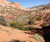 The Barracks Kiosk 200 acres elk & deer hunting land in Kanab, UT images 2