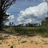 32 Acres Land for Sale Amite County Mississippi images 3