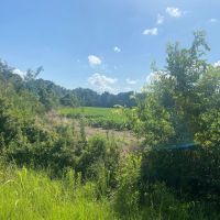 LA - Franklin 38 acres - images 2