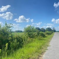 LA - Franklin 38 acres - images 3