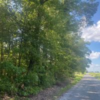LA - Franklin 38 acres - images 5
