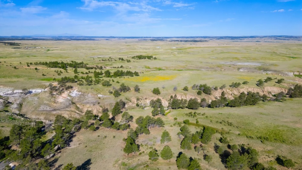 260 acres of beautiful Colorado land featured image