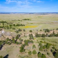 260 acres of beautiful Colorado land images 1