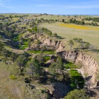 260 acres of beautiful Colorado land images 4