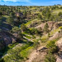 260 acres of beautiful Colorado land images 5