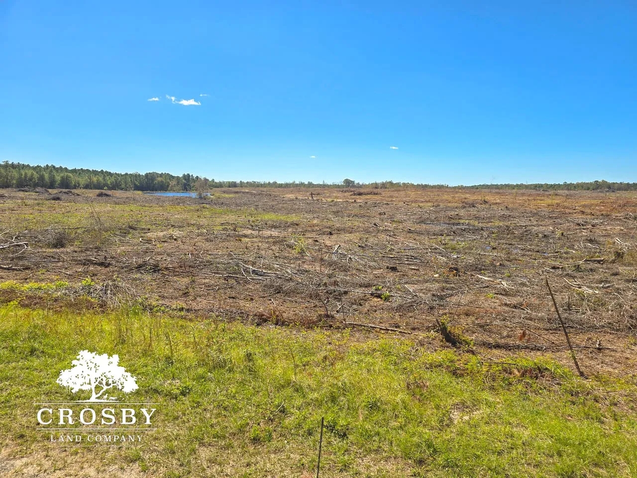 Cabin Trust Hunting Land for Sale