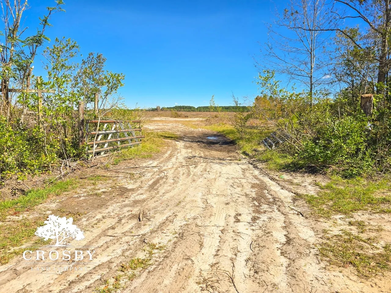 Cabin Trust Hunting Land for Sale