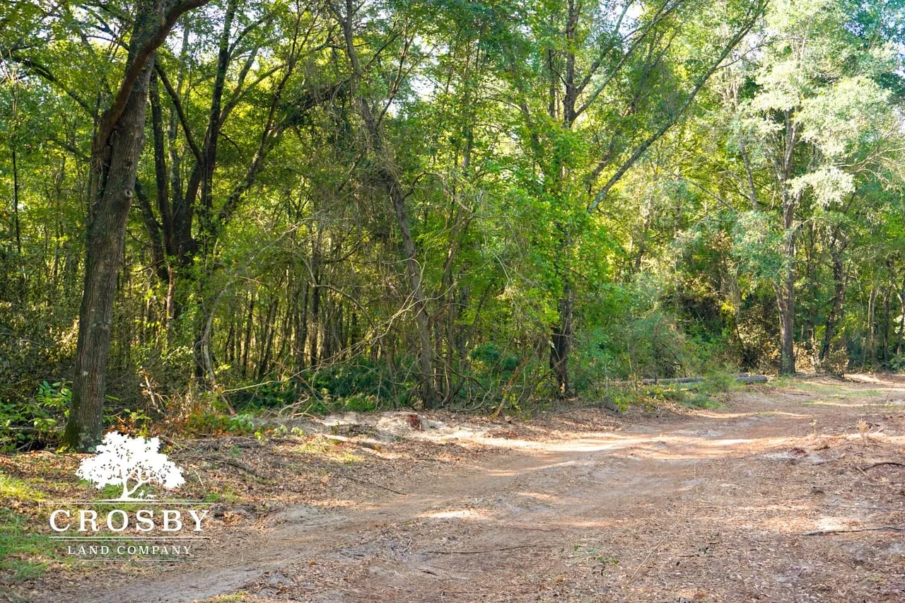 Cabin Trust Hunting Land for Sale