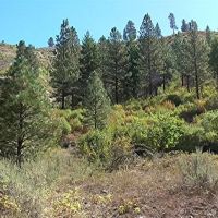 Grimes Pass Land images 3
