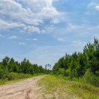 388 Acres T-12 Red Hollow images 4