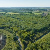 TX Recreational Land for Sale Palmer Ellis Co South of DFW