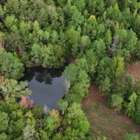 43 Acres in the Jefferson Community in Carroll County MS