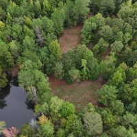 43 Acres in the Jefferson Community in Carroll County MS images 3
