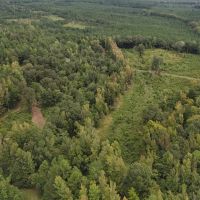 43 Acres in the Jefferson Community in Carroll County MS images 5