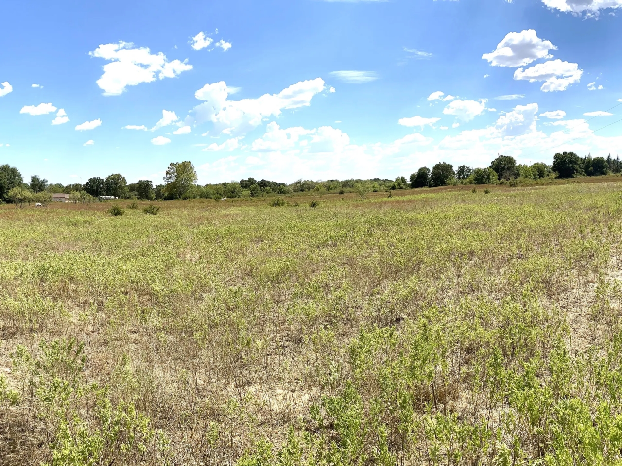 New Listing 20.67 Acres MH Callahan County Hunting Land for Sale