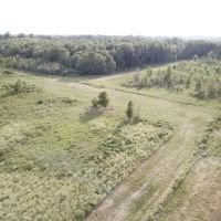LA - Richland 108 acres - images 2