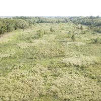 LA - Richland 108 acres - images 3