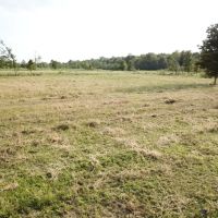LA - Richland 108 acres - images 4