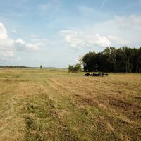 LA - Richland 108 acres - images 5