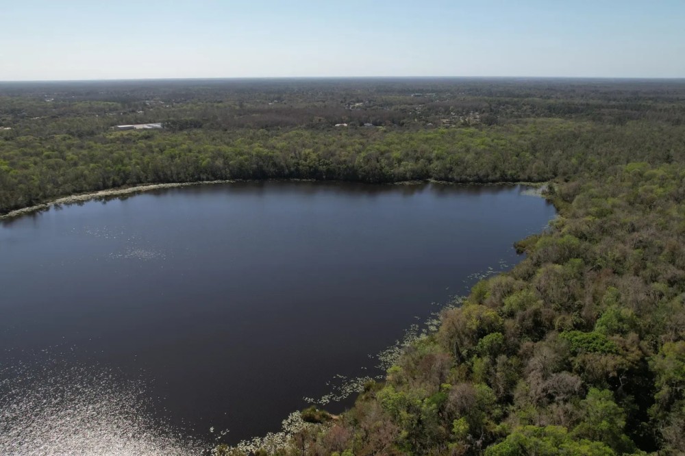 Hidden Lake Preserve featured image