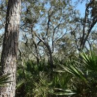 Hidden Lake Preserve images 2