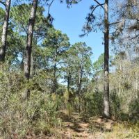 Hidden Lake Preserve images 4