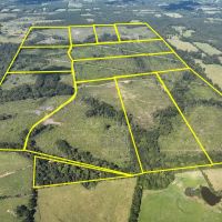 40 Acres T-1 Off CR 4916
