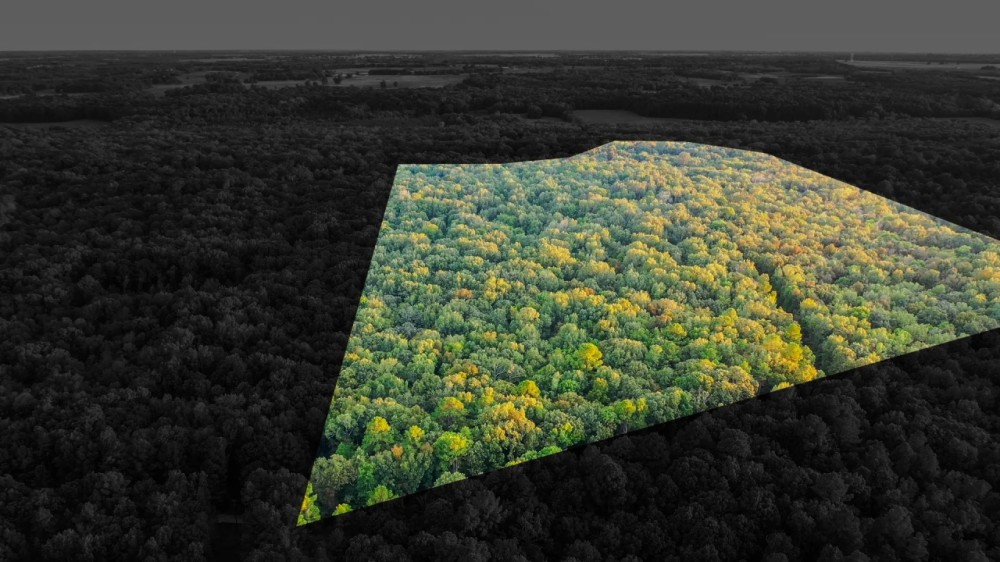 Recreational Hunting Land For Sale Clarksville TX featured image