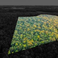 Recreational Hunting Land For Sale Clarksville TX