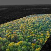 Recreational Hunting Land For Sale Clarksville TX images 2