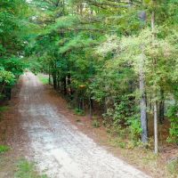 Recreational Hunting Land For Sale Clarksville TX images 3