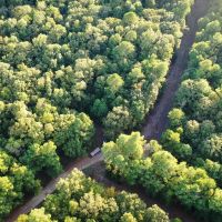 Recreational Hunting Land For Sale Clarksville TX images 5