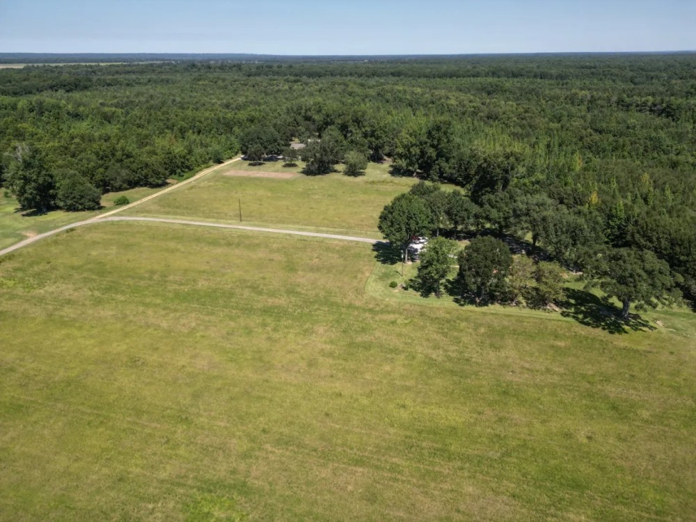 LA - Catahoula 119 acres - featured image
