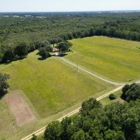 LA - Catahoula 119 acres - images 2