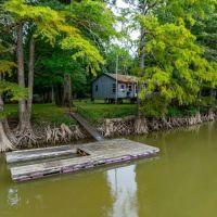 Cabin on Black River 2 Boat Docks 3 Lots and a Shared Boat Ramp Knobel AR images 5