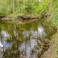 Ivanhoe images 2