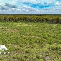 Ivanhoe images 5